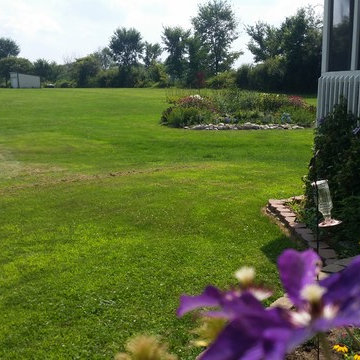 Low Maintenance Hummingbird Habitat