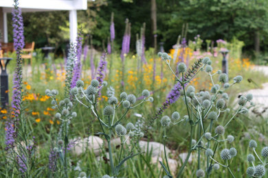 Calvin University Native Gardens