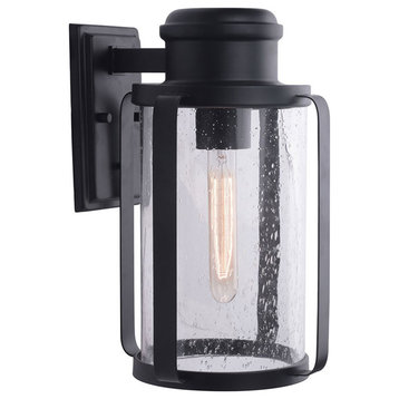 Abner 1 Light Outdoor Wall Sconce Matte Black Clear Seedy, 10"