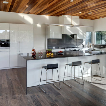 Austin, Texas Modern Home-Alaska White Oak