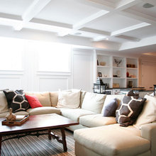 Lower Level Remodel