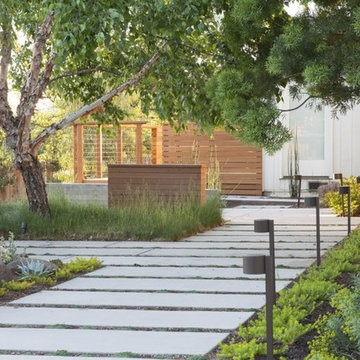 Los Gatos House - Garden Path