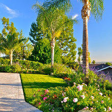 Landscape Ideas