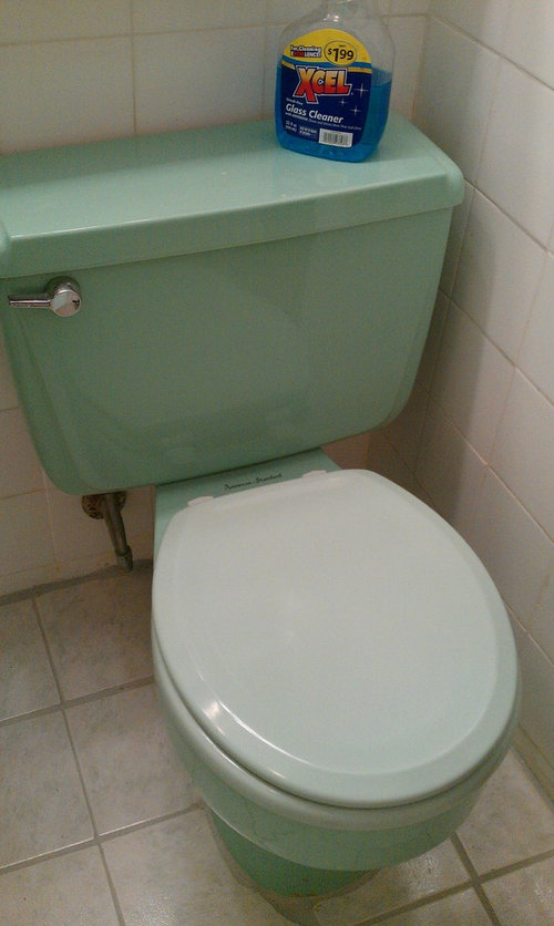 Shall I Trash This 60 S Green Retro Bathroom