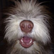 Zab Bvd's photo