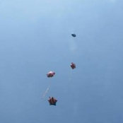 Lora Young's photo