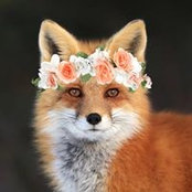 Dianna Rubly's photo