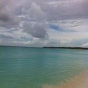Veronica Moya's photo