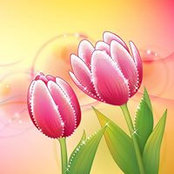 Sandy Schlechte's photo