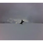 Lee Osborne's photo