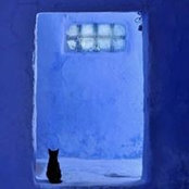 Elsa Coustenoble's photo