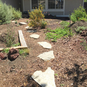 California Native Plant Front Yard