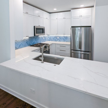 Lincoln Park Kitchen Remodel