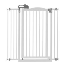 gate