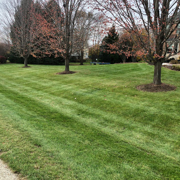 Fall Yard Cleanup, Leaf Removal, and Mowing — Before & After
