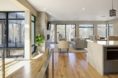 Antique Elm Flooring in a Modern Living Room with Wooded Views