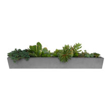 Planters