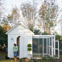 Chicken Coop