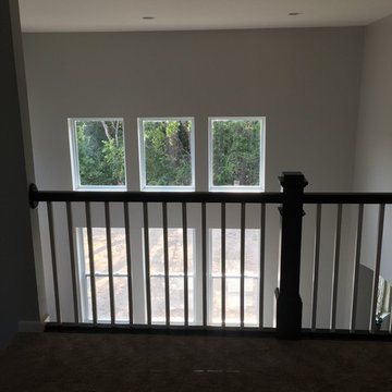 New build in Ypsilanti Michigan