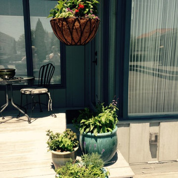 Container Gardens