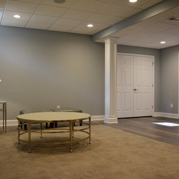 Large Family Basement