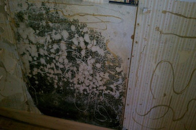 Washing Machine Pipe Leak caused Mold Damage in Durham, NC
