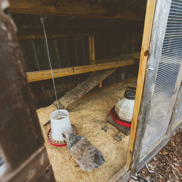 My Houzz: An Urban Farm and Animal Haven in the City