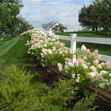 Garden and Flower Beds
