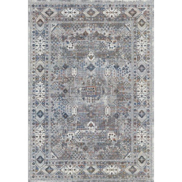 Dynamic Rugs Evora 5875 Traditional Rug, Gray and Ivory and Multi, 5'3"x7'2"