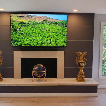 West Bloomfield, Michigan - Customer Fireplace TV