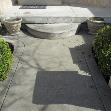 Our Work