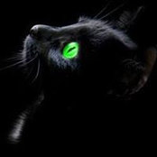 Becky Brockman's photo