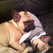 Teresa Mach's photo
