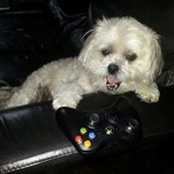 Cindy Sadin's photo