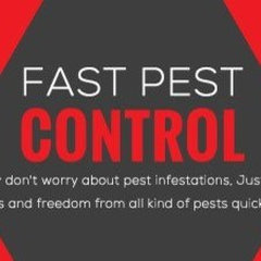 Fast Pest Control Caloundra