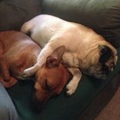 Mary Meglio's photo