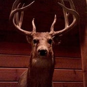 Kevin Olson's photo