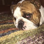 Deb Briancesco's photo