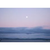 Brianna Backlund's photo