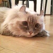 Katsuya Kitano's photo