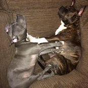 Alyssa Wilson's photo