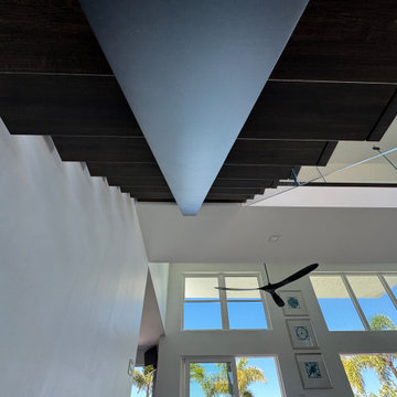 Steel and Glass Design- Tortoise Island