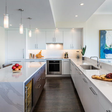 A Contemporary Flavor for Boston Penthouse