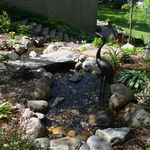 Woodland/ Gardens