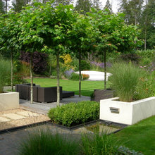 2020 Upper Level / Yard