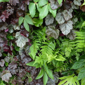 Living Wall