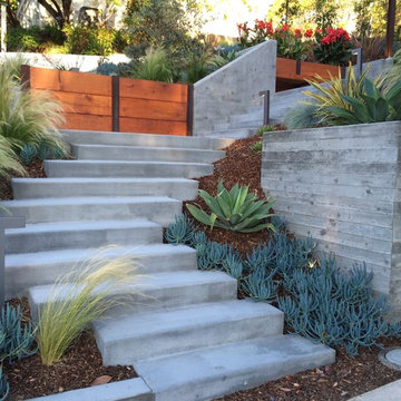 Point Loma Mid Century Modern