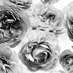 Summer Wind, Black and White - Wallpaper