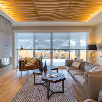 3-Sided Fireplace with Concrete Feature Wall | Fonthill, ON