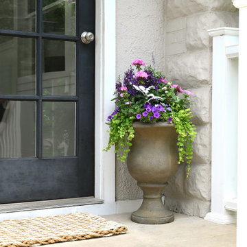 Summer Containers